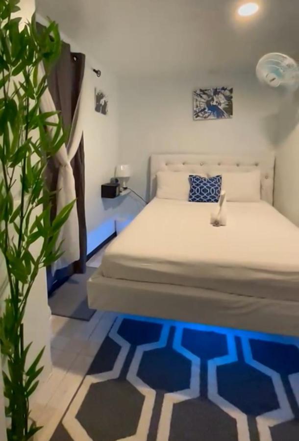 Blue Royalty Bed & Breakfast Portmore Eksteriør bilde