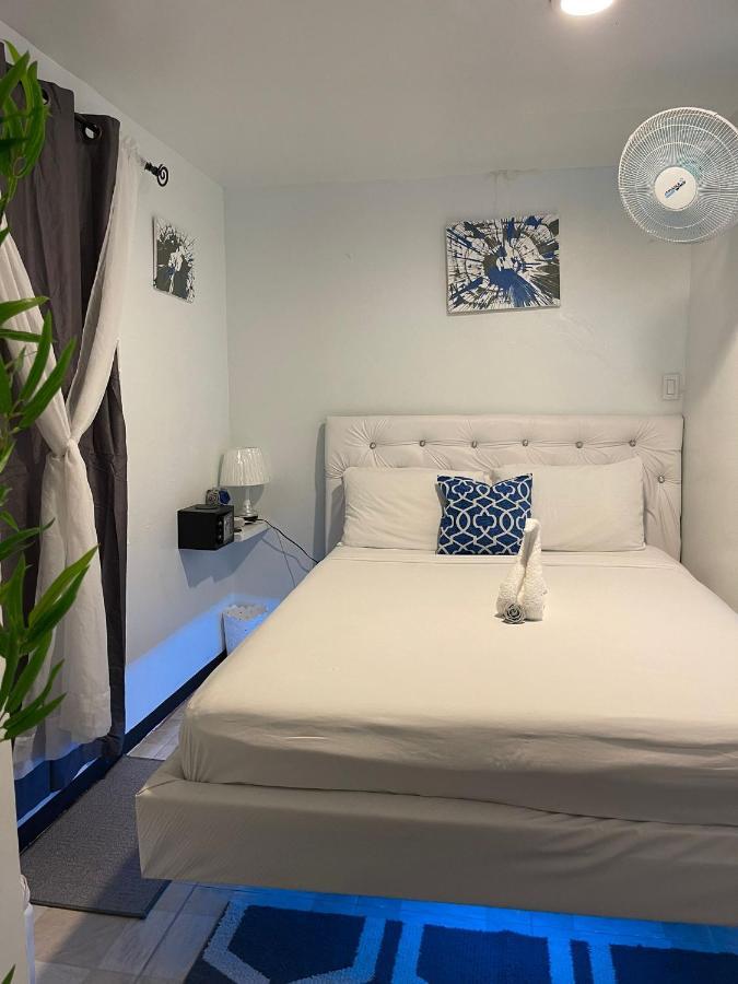 Blue Royalty Bed & Breakfast Portmore Eksteriør bilde